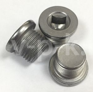 R 024W115II Пробка слива масла W115II для w115-10 (10 бар) фото