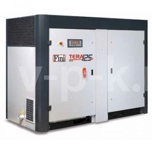 Винтовой компрессор Fini TERA SD 12513 фото