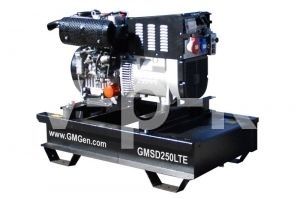 Бензиновый генератор GMGen GMSD250LTE  фото