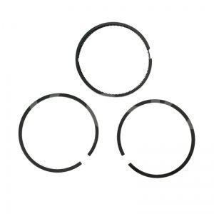 4080080000 Комплект поршневых колец высокого давления Fiac AB 851 фото