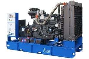 Дизельный генератор ТСС АД-200С-Т400 с АВР 025259 (с автозапуском) фото