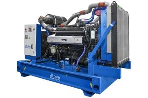 Дизельный генератор ТСС АД-200С-Т400-1РМ2 Engga 044037 фото