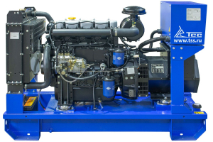 Дизельный генератор ТСС АД-25С-Т400-2РНМ5 025858 фото