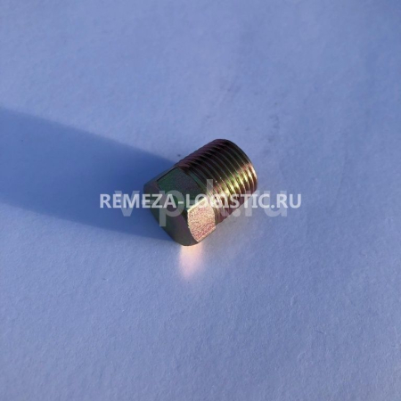 R 21169003 Пробка слива масла Z3/8" LB50/75/LT100 для lb75