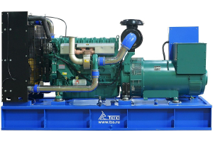 Дизельный генератор ТСС АД-300С-Т400-1РНМ5 ПРОФ 025902 промышленный фото